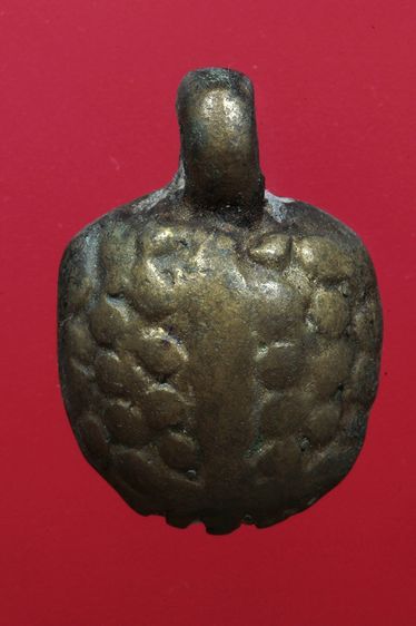 เต่าเรือนสวยๆค่ะเก่าค่ะ