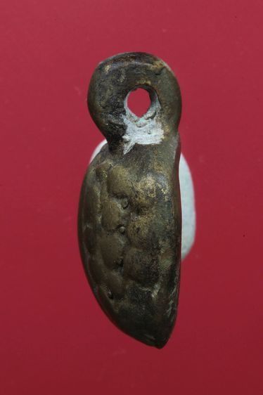 เต่าเรือนสวยๆค่ะเก่าค่ะ รูปที่ 4