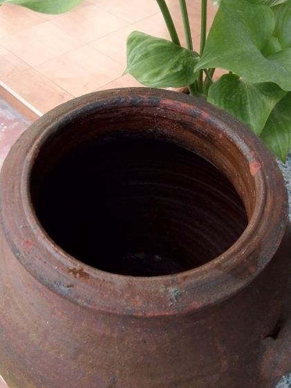 ไหโบราณขนาด12นิ้ว รูปที่ 11