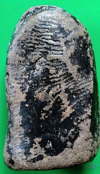 พระรอด พระซุ้มกอ พระคง พระเปิม ลำพูน รูปที่ 2