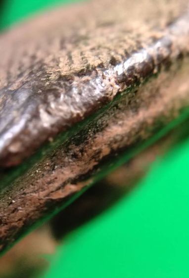 พระรอด พระซุ้มกอ พระคง พระเปิม ลำพูน รูปที่ 11