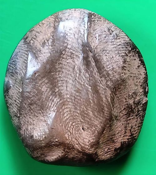 พระรอด พระซุ้มกอ พระคง พระเปิม ลำพูน รูปที่ 9