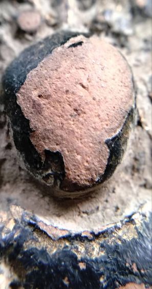 พระรอด พระซุ้มกอ พระคง พระเปิม ลำพูน รูปที่ 14