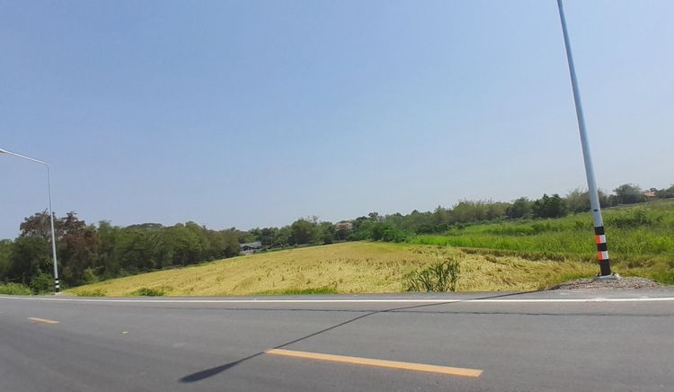 ที่ดินบ้านแพรก อยุธยา 7 ไร่ รูปที่ 2