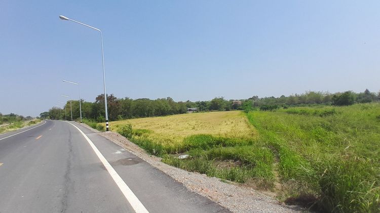 ที่ดินบ้านแพรก อยุธยา 7 ไร่ รูปที่ 3