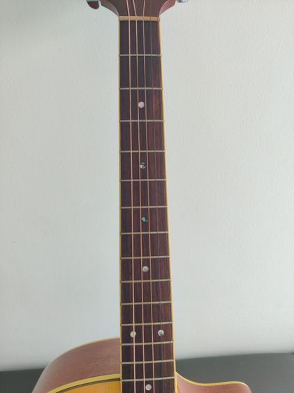 ขายกีต้าร์มือสองสภาพมือหนึ่ง รูปที่ 6