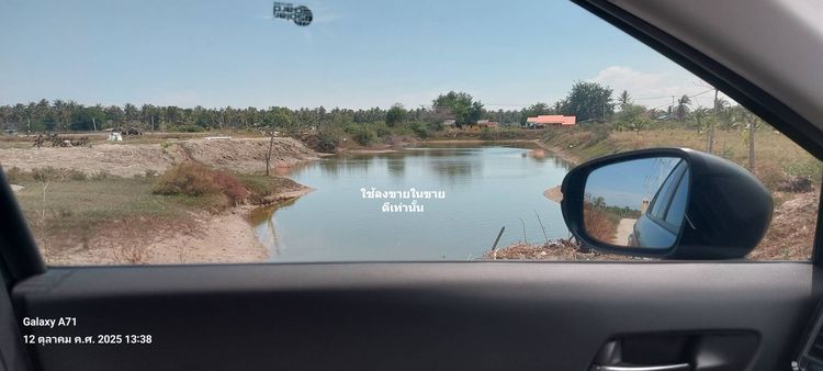 ขายที่บ่อปลา