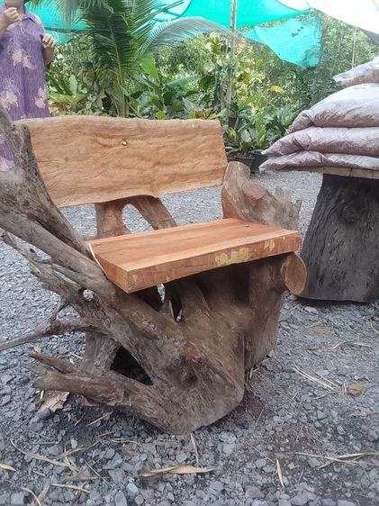 เก้าอี้รากไม้ประดู่