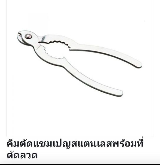 เปิดไวน์ ITALY  รูปที่ 5