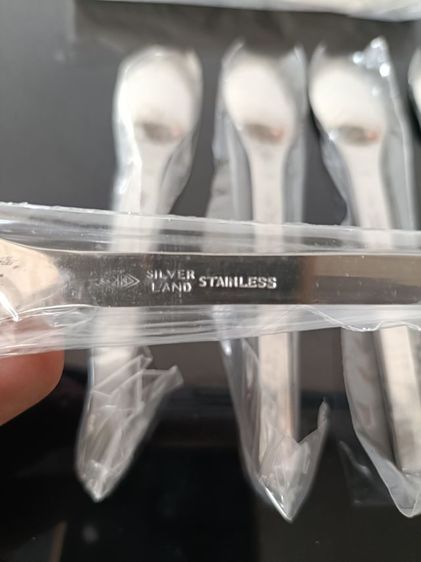 silver land  รูปที่ 3