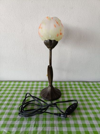 HOYA รูปที่ 3