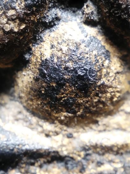 ❌ปิดครับ❌พระปิดตาลงรักปิดทองไม่ทราบเกจิครับ รูปที่ 12