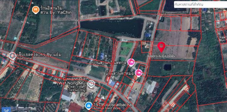 ขายที่ดินเปล่าแปลงใหญ่ 2 แปลงติดกัน ตำบลดงละคร อำเภอเมืองนครนายก จังหวัดนครนายก 						 รูปที่ 4