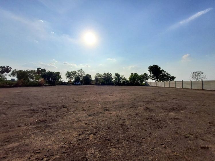 ขายที่ดินคลองห้า 2 ไร่ แปลงมุม ถมแล้ว ติดถนนคอนกรีต ซ.กลั่นกรอง อ.คลองหลวง จ.ปทุมธานี รูปที่ 3