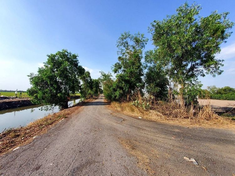 ขายที่ดินคลองห้า 2 ไร่ แปลงมุม ถมแล้ว ติดถนนคอนกรีต ซ.กลั่นกรอง อ.คลองหลวง จ.ปทุมธานี รูปที่ 2