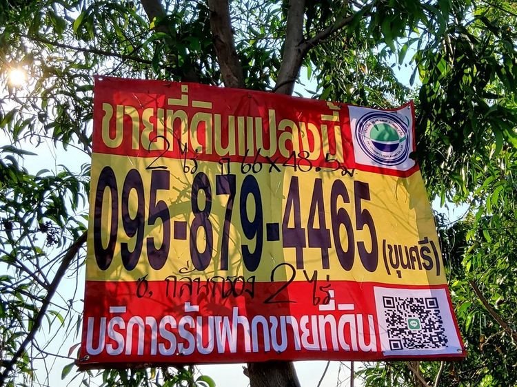 ขายที่ดินคลองห้า 2 ไร่ แปลงมุม ถมแล้ว ติดถนนคอนกรีต ซ.กลั่นกรอง อ.คลองหลวง จ.ปทุมธานี  รูปที่ 4