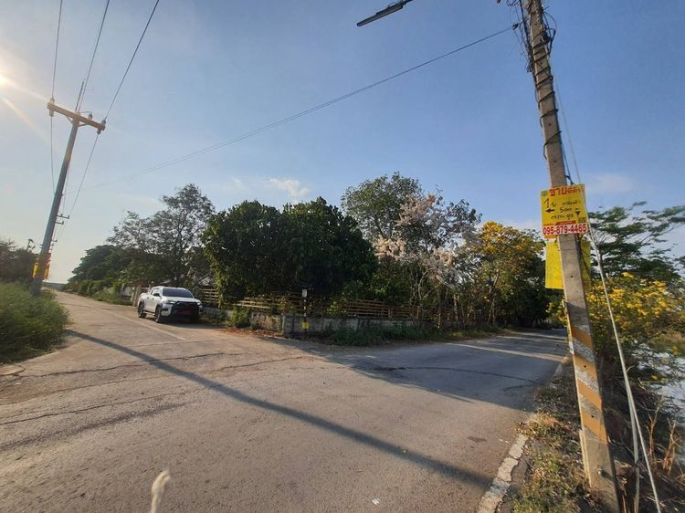 ขายด่วนที่ดินคลองห้า 1 ไร่ ถมแล้วทั้งแปลง ติดถนนคอนกรีต ซ.กลั่นกรอง อ.คลองหลวง จ.ปทุมธานี 