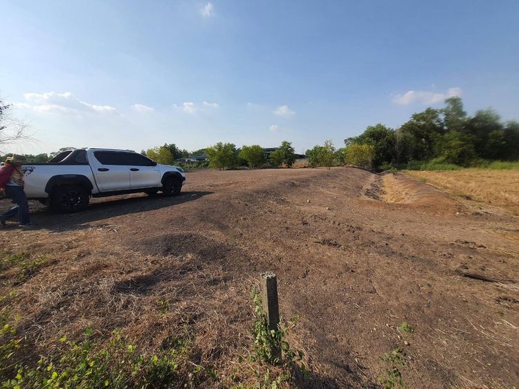 ขายด่วนที่ดินคลองห้า 1 ไร่ ถมแล้วทั้งแปลง ติดถนนคอนกรีต ซ.กลั่นกรอง อ.คลองหลวง จ.ปทุมธานี รูปที่ 2