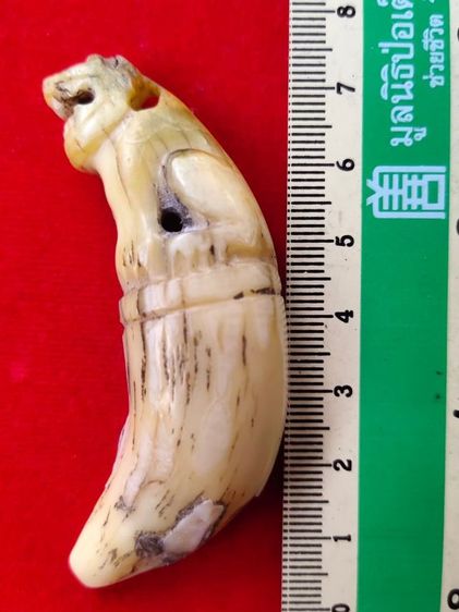 พระแกะ ข  ไม่ทราบที่ รูปที่ 3