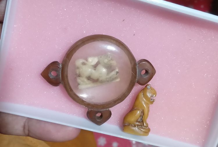 สิงห์กะเสือเก่าๆ รูปที่ 8