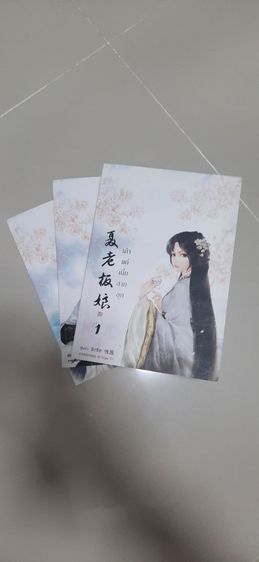 เถ้าแก่เนี้ยสายลุย