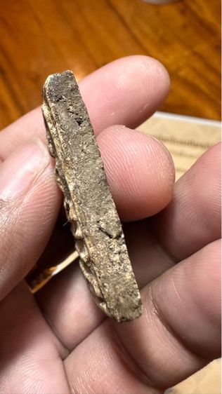 ปล่อยพระค่ะ รูปที่ 7