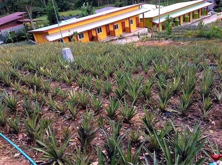 มีบางส่วน 2024 ที่ดินทำเลสวยอ่าวนางพร้อมสิ่งปลูกสร้าง รูปที่ 4