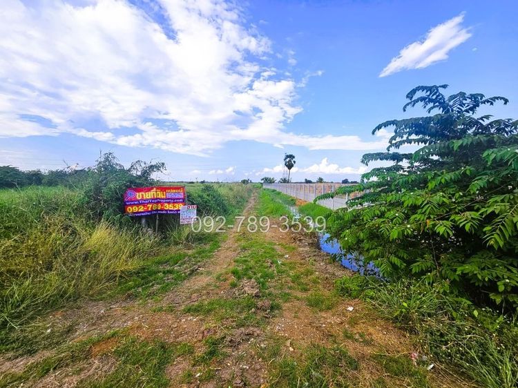 ขายที่ดินชัยนาท 25-3-21 ไร่ คุ้งสำเภา ใกล้การไฟฟ้าส่วนภูมิภาค สาขาอำเภอมโนรมย์ รูปที่ 3