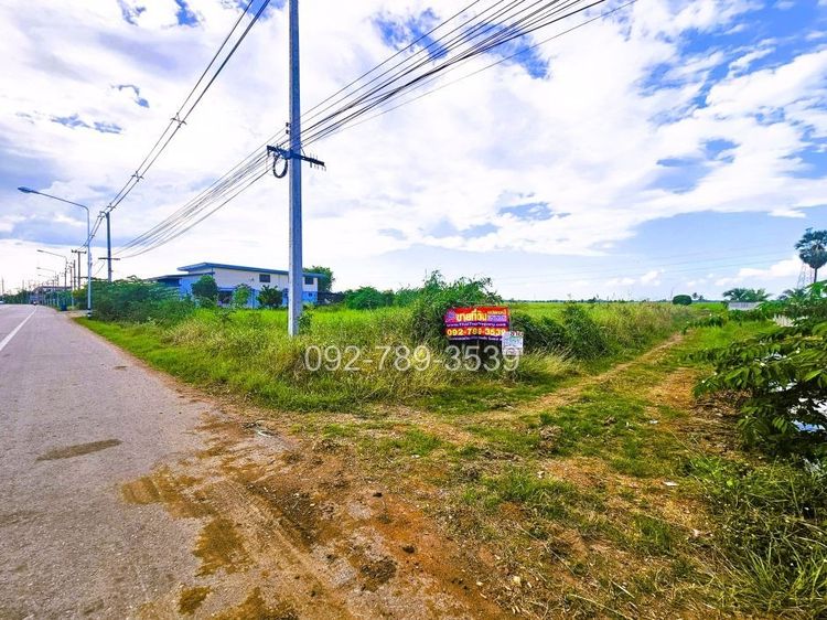 ขายที่ดินชัยนาท 25-3-21 ไร่ คุ้งสำเภา ใกล้การไฟฟ้าส่วนภูมิภาค สาขาอำเภอมโนรมย์ รูปที่ 2