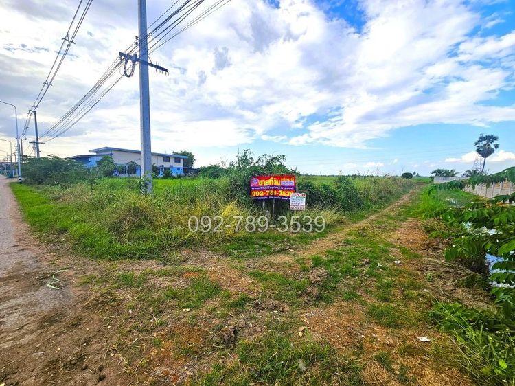 ขายที่ดินชัยนาท 25-3-21 ไร่ คุ้งสำเภา ใกล้การไฟฟ้าส่วนภูมิภาค สาขาอำเภอมโนรมย์