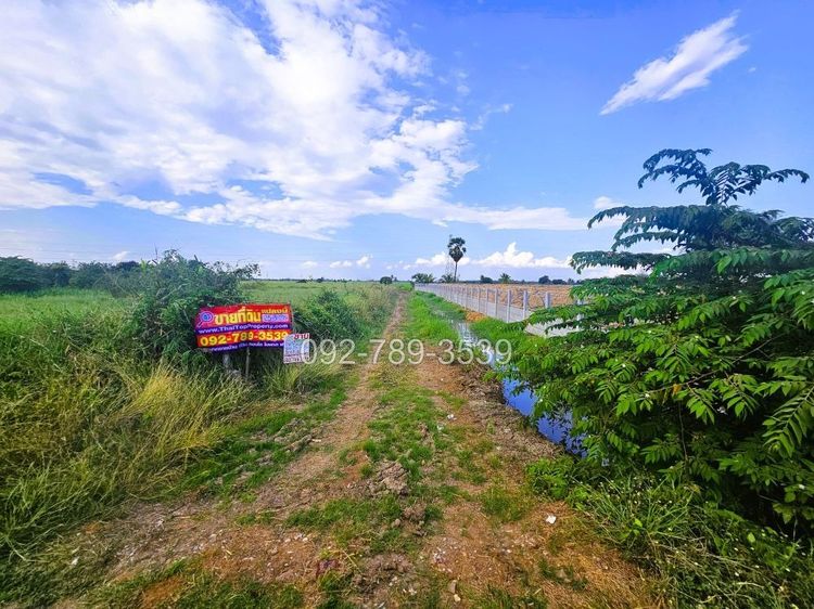 ขายที่ดินชัยนาท 25-3-21 ไร่ คุ้งสำเภา ใกล้การไฟฟ้าส่วนภูมิภาค สาขาอำเภอมโนรมย์ รูปที่ 4