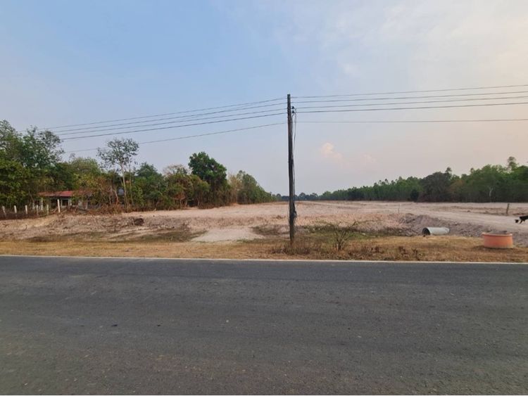 ใช่ ขายที่ดิน รูปที่ 4