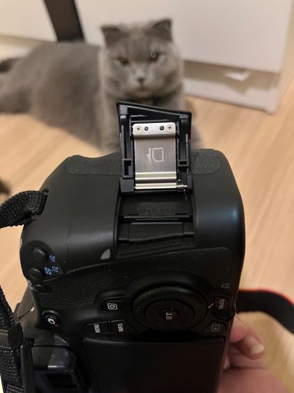 Canon EOS 60D + เลนส์ 18-135mm IS ต่อรองได้ รูปที่ 10