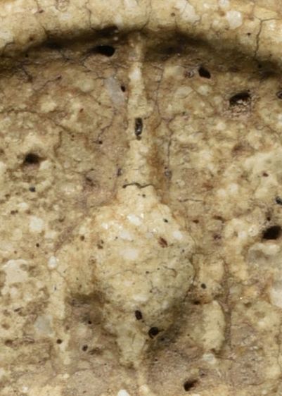 พระสมเด็จวัดระฆัง พิมพ์ฐานแซม หูยาน มีมวลสาร สวย รูปที่ 4