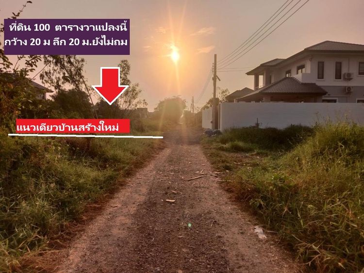 ขายที่ดิน 100 วาแปลงเก็บไว้ ที่จัดสรร ปัจจุบัน ยอดทำเล สวย คุ้ม พหลโยธิน 54ทับ1แยก8ทับ4ทับ3ซอยตาลเดี่ยว รูปที่ 3