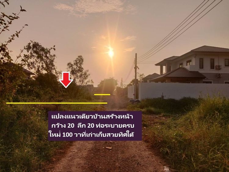 ขายที่ดิน 100 วาแปลงเก็บไว้ ที่จัดสรร ปัจจุบัน ยอดทำเล สวย คุ้ม พหลโยธิน 54ทับ1แยก8ทับ4ทับ3ซอยตาลเดี่ยว รูปที่ 2