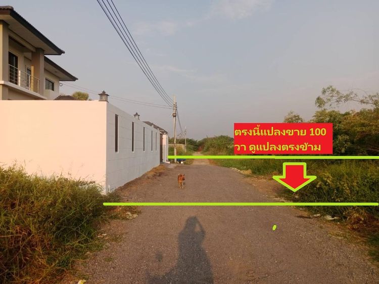 ขายที่ดิน 100 วาแปลงเก็บไว้ ที่จัดสรร ปัจจุบัน ยอดทำเล สวย คุ้ม พหลโยธิน 54ทับ1แยก8ทับ4ทับ3ซอยตาลเดี่ยว