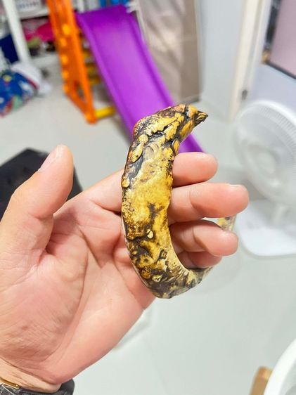 เขี้ยวหมูป่าตัน รูปที่ 4