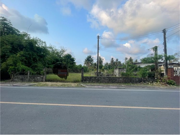 ไม่ใช่ ที่ดินแปลงสวยใกล้ชายทะเลจันทบุรี รูปที่ 4