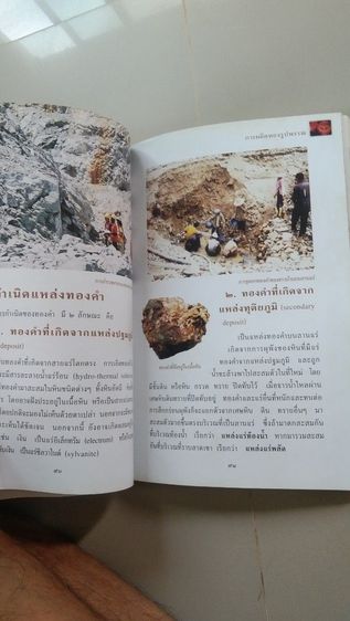 สารานุกรม รูปที่ 8