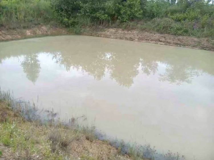 ใช่ 🔥ขายด่วน ที่ดินเชียงใหม่ รูปที่ 4