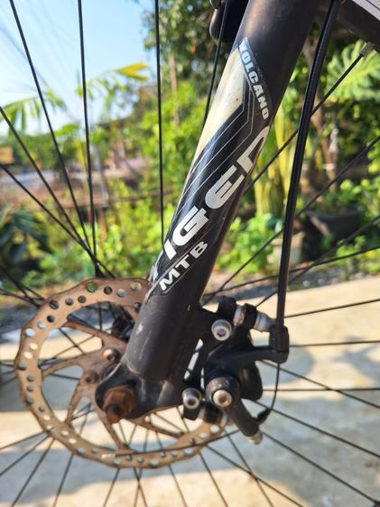 ขายจักรยานเสื้อภูเขา ไทเกอร์7เกียร์ รูปที่ 6