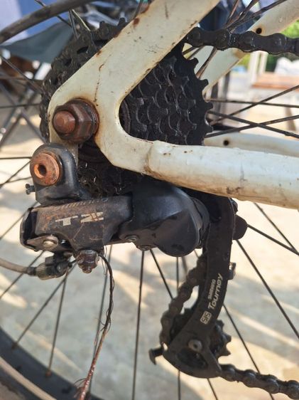 ขายจักรยานเสื้อภูเขา ไทเกอร์7เกียร์ รูปที่ 2