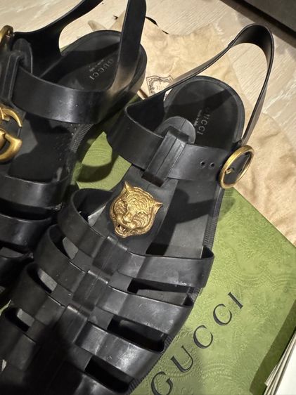 Gucci รูปที่ 7