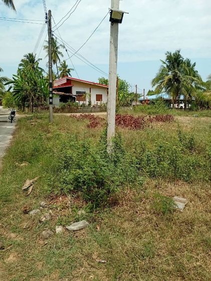 ไม่ใช่ ขายที่ดินเขตเทศบาลนางรอง ใกล้วิทยาลัยเทคนิคนางรอง ที่ติดถนนคอนกรีต น้ำไฟเข้าถึง สนใจทักหา 063-7864226 พูดคุยต่อรองกันได้ รูปที่ 2