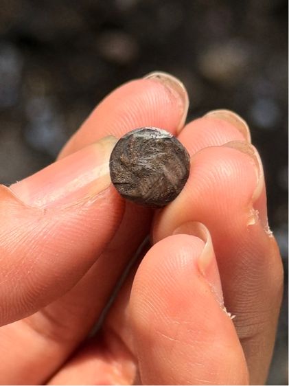 ลิงไม้แกะ รูปที่ 7