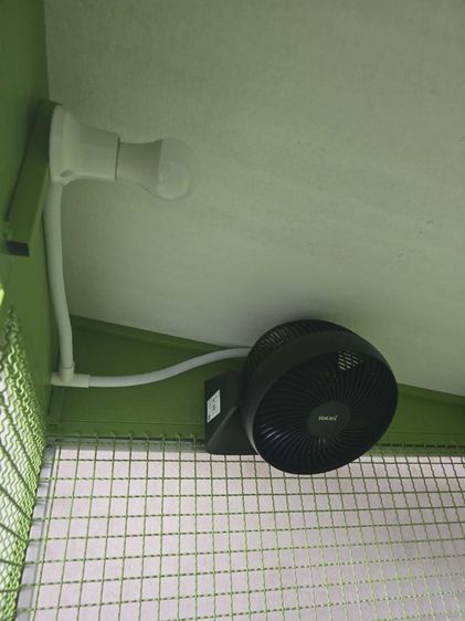 กรงสัตว์ รูปที่ 2