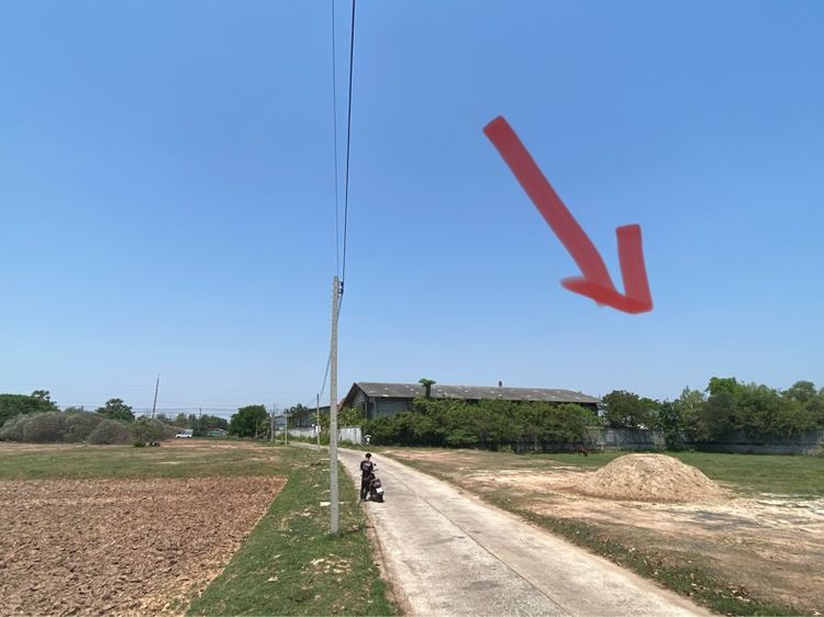 ไม่ใช่ ที่ดินจังหวัดสุรินทร์ ขาย รูปที่ 3