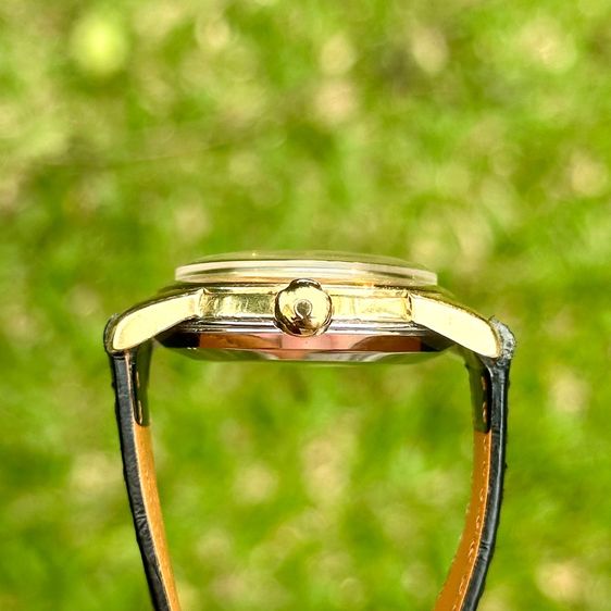 Vintage 1955’s Omega Seamaster 14k gold capped Honeycomb cross hair tropical dial automatic รูปที่ 5