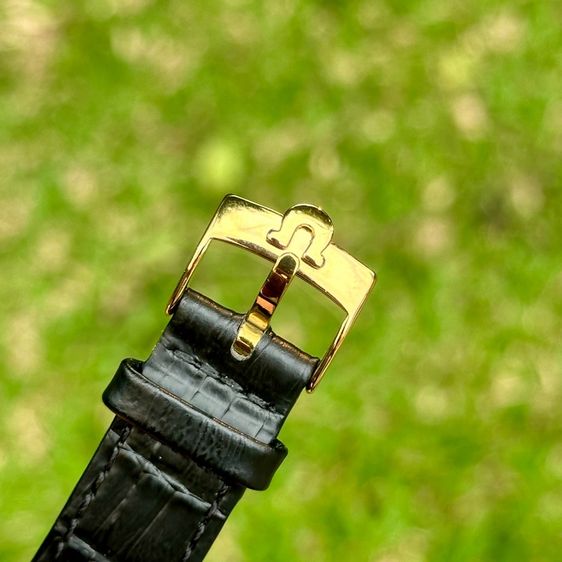 Vintage 1955’s Omega Seamaster 14k gold capped Honeycomb cross hair tropical dial automatic รูปที่ 7